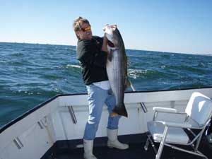 Combo Trips for Stripers & Fluke area typical inshore trip