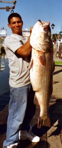 Striper