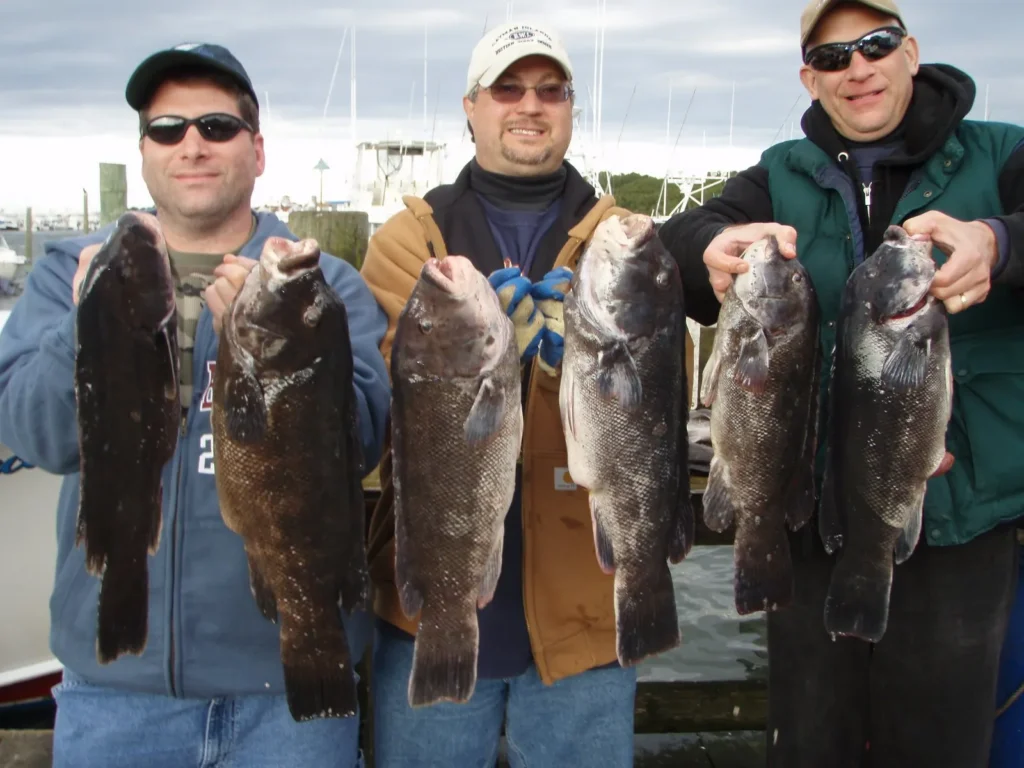 Montauk Blackfish Fishing