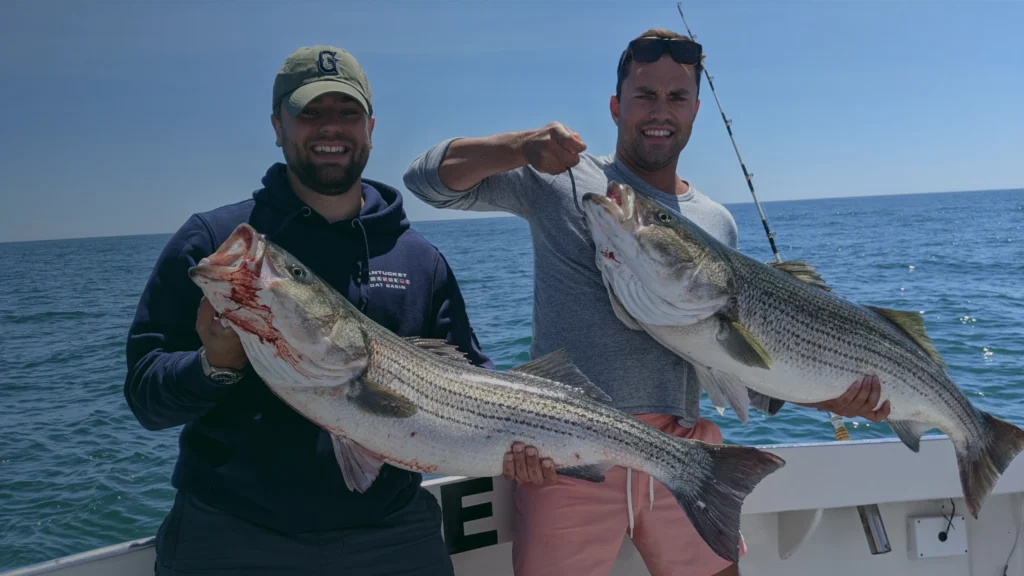 Montauk Porgy Fishing & Jumbo Sea Bass Charters